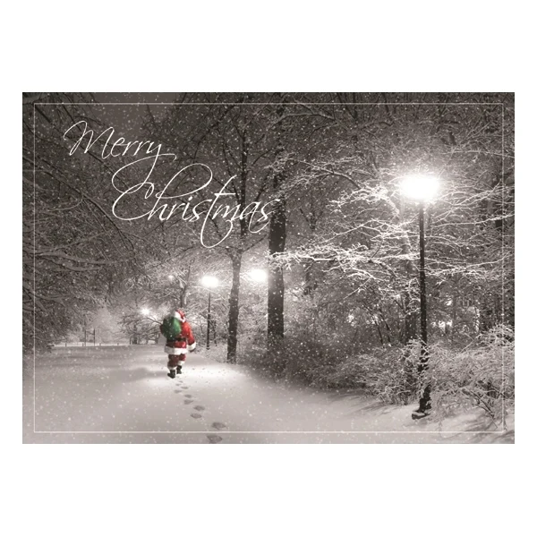 Special Delivery Christmas Greeting Card 1