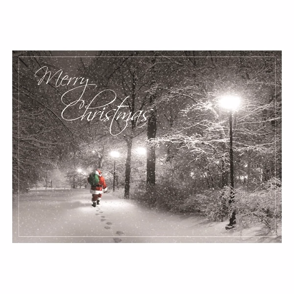 Special Delivery Christmas Greeting Card