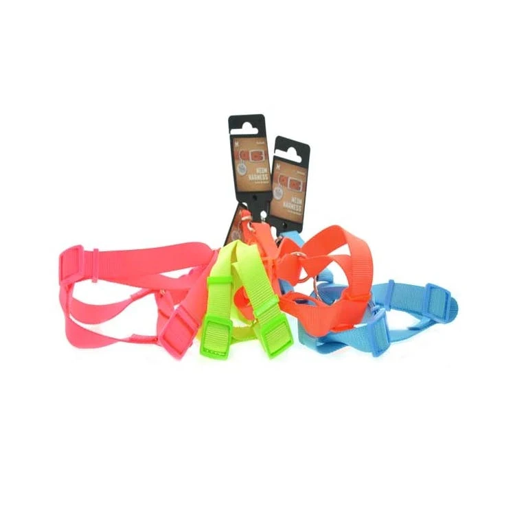 Neon Pet Harnesses - Assorted Medium 1