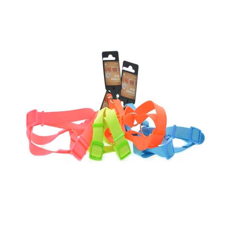 Neon Pet Harnesses - Assorted Medium