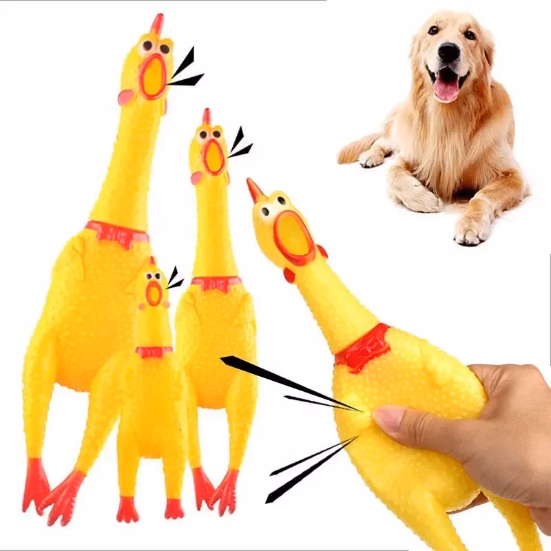 SqueezeyRubber chicken toy