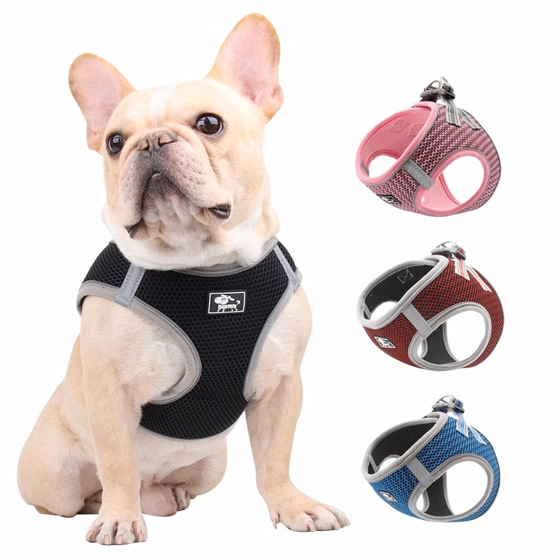 Reflective Pet Harness and Leash Set