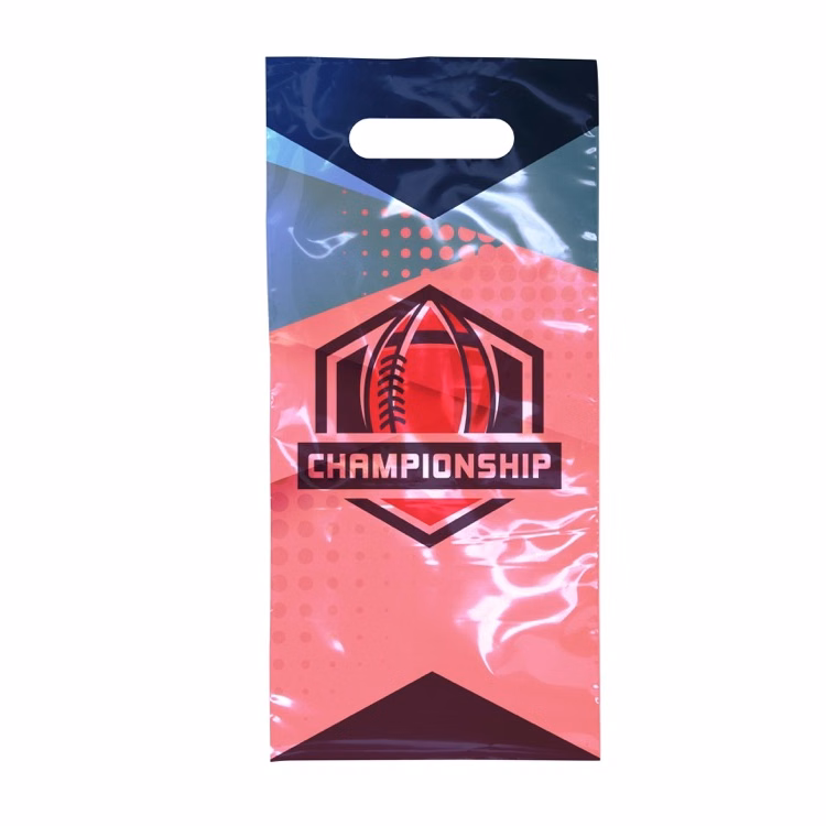 Digital Full Color 2-Sided Clear Plastic Bag (6" x 13")