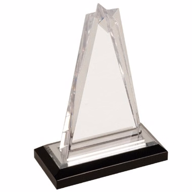 6 1/4 inch Clear Star Acrylic Award.