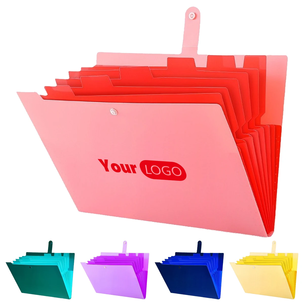 Plastic Effortless Organization With Multi-Section Expanding Folder 1