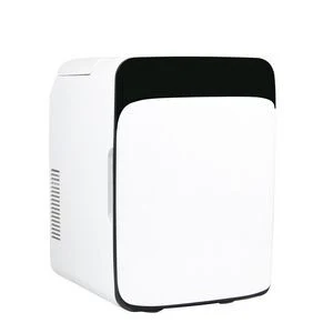 Portable Car Refrigerator 1