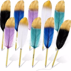 Colorful Feather Pen