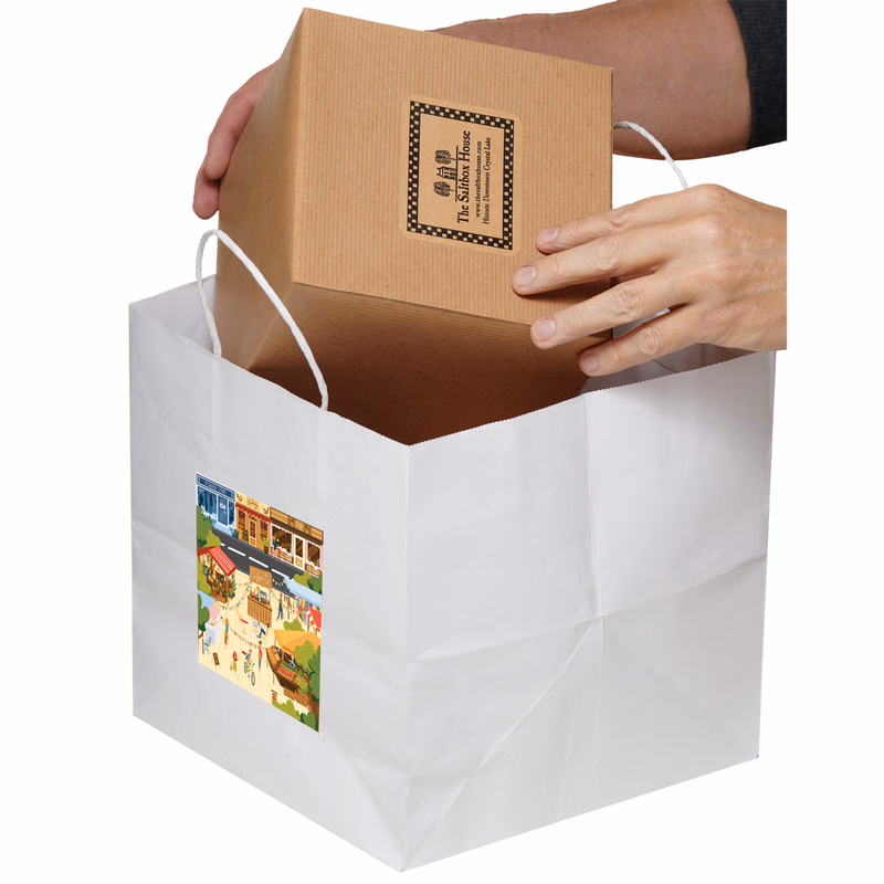 White Kraft Paper Shopper with Twisted Paper Handles - Take-Out Bag