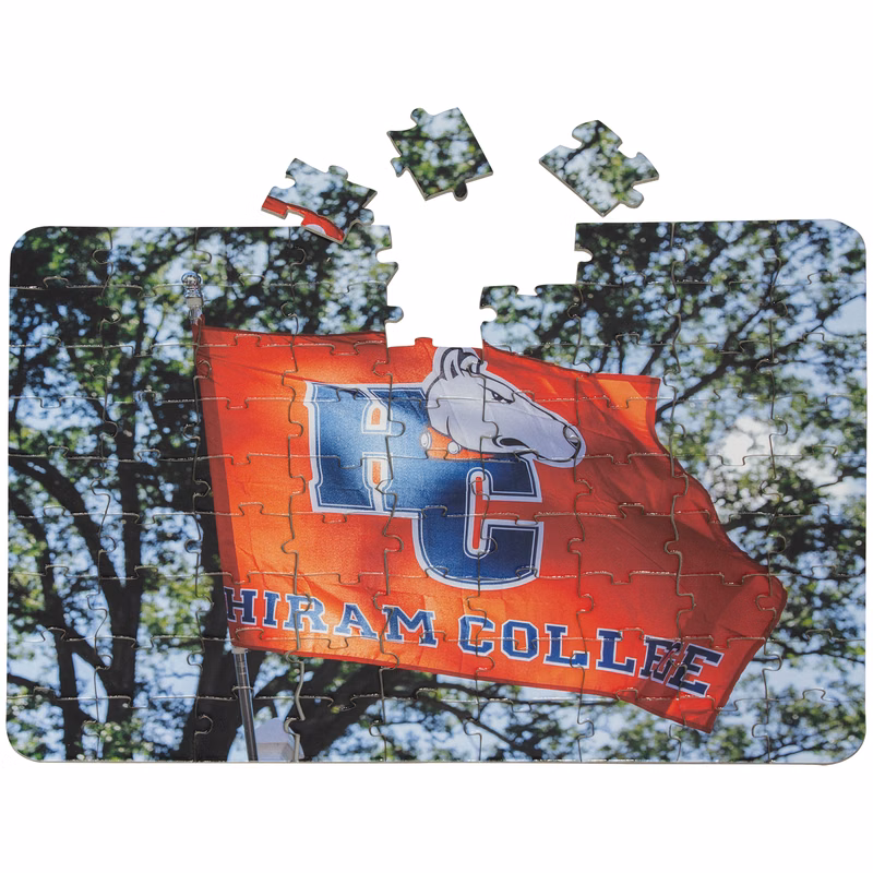 81 Pieces - 8 1/4" x 10 1/2" - Medium Puzzle
