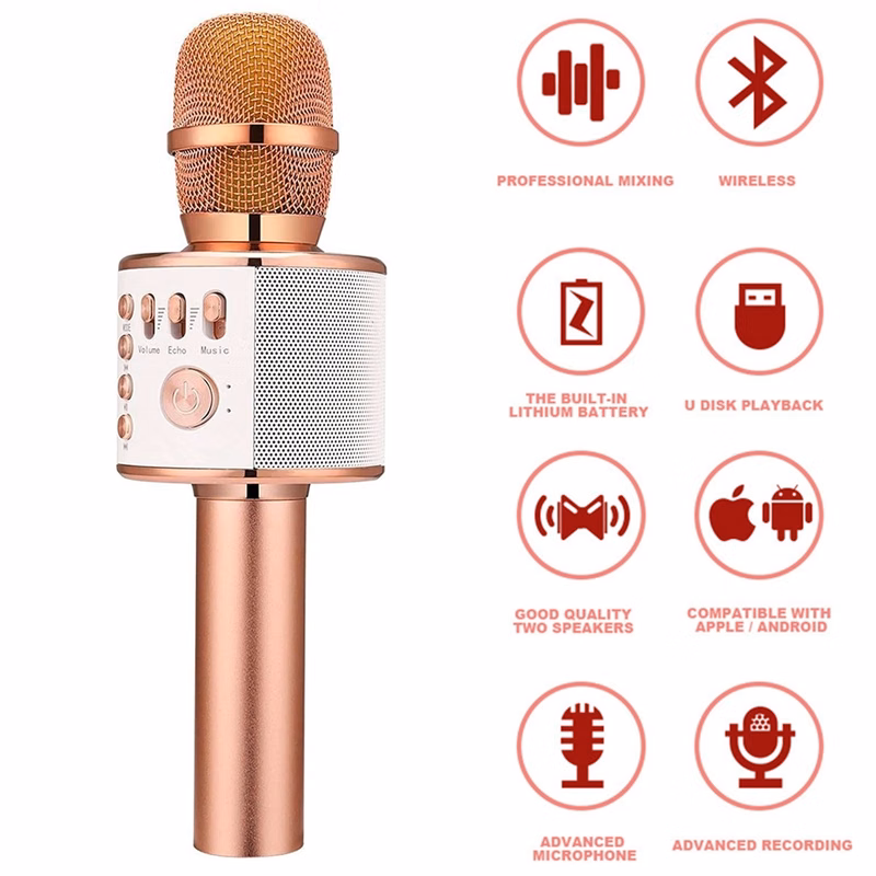 Karaoke Wireless Microphone