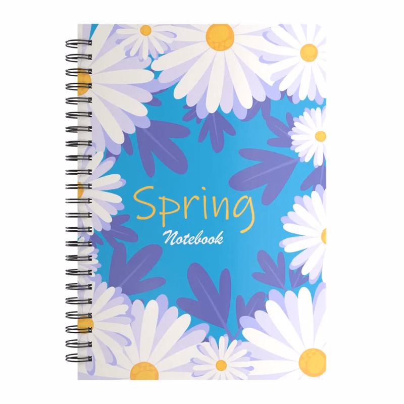 Basic Notebooks