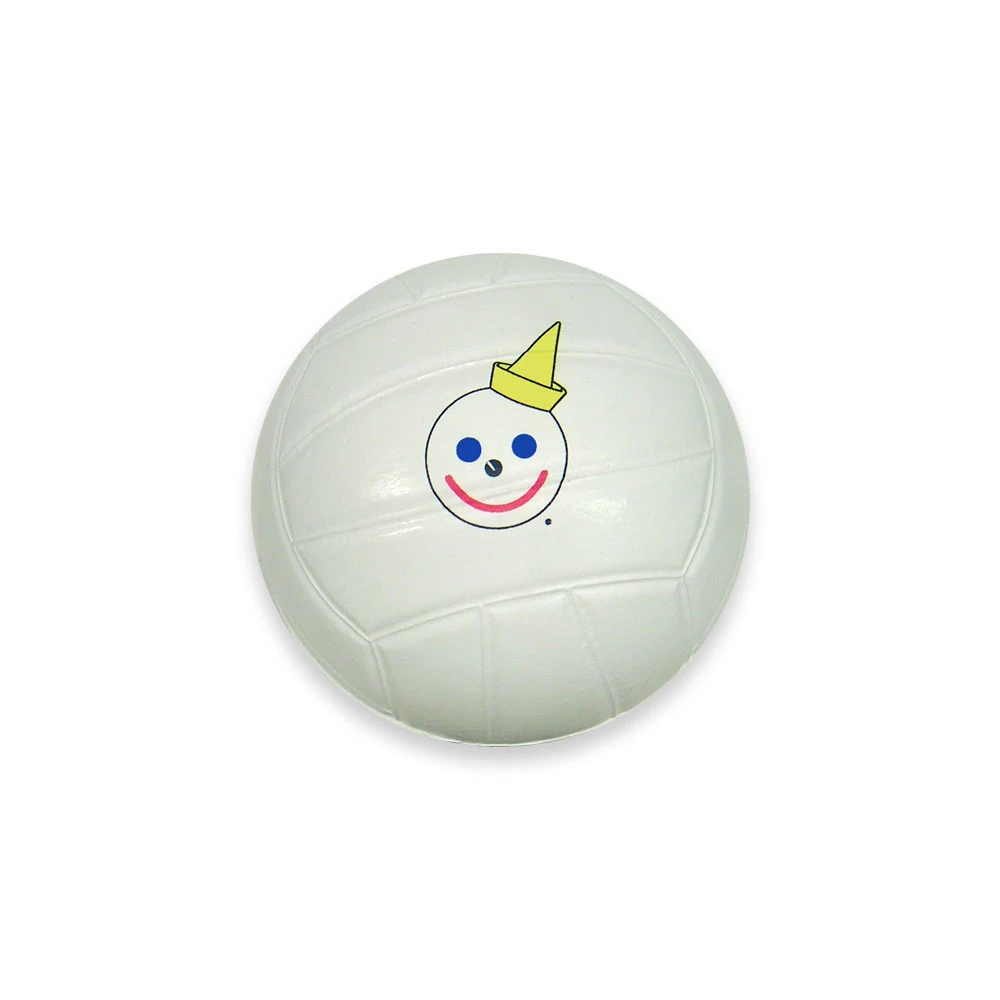 6" Large Volleyball - White Top 1