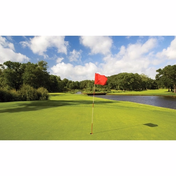 Tube 14" x 20" Blank Golf Flags