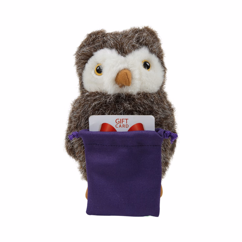 Soft Plush Sitting Owl with Gift Card Sack