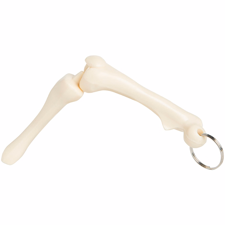Knee Joint Keyring