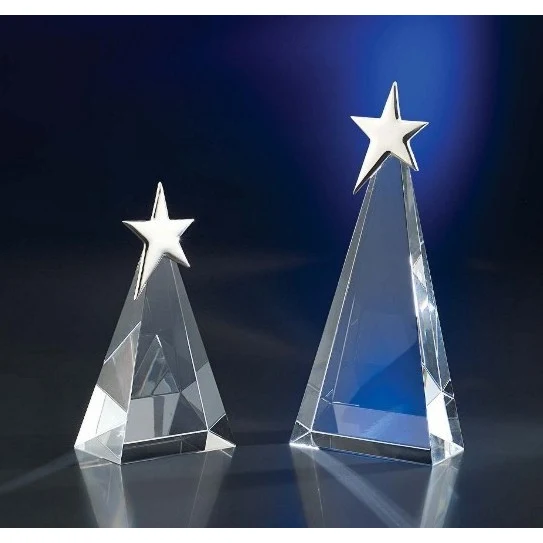 Designer Crystal Show Time Award 1