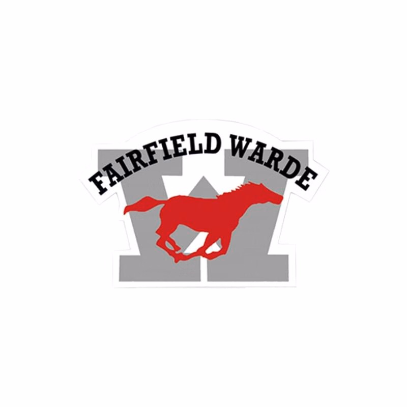 Custom Shape Car Sign Magnet (17" to 17.9" Square Inches)