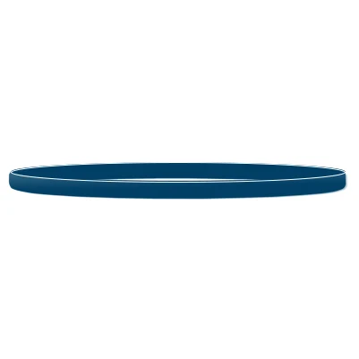 Blank Silicone Wristband 1