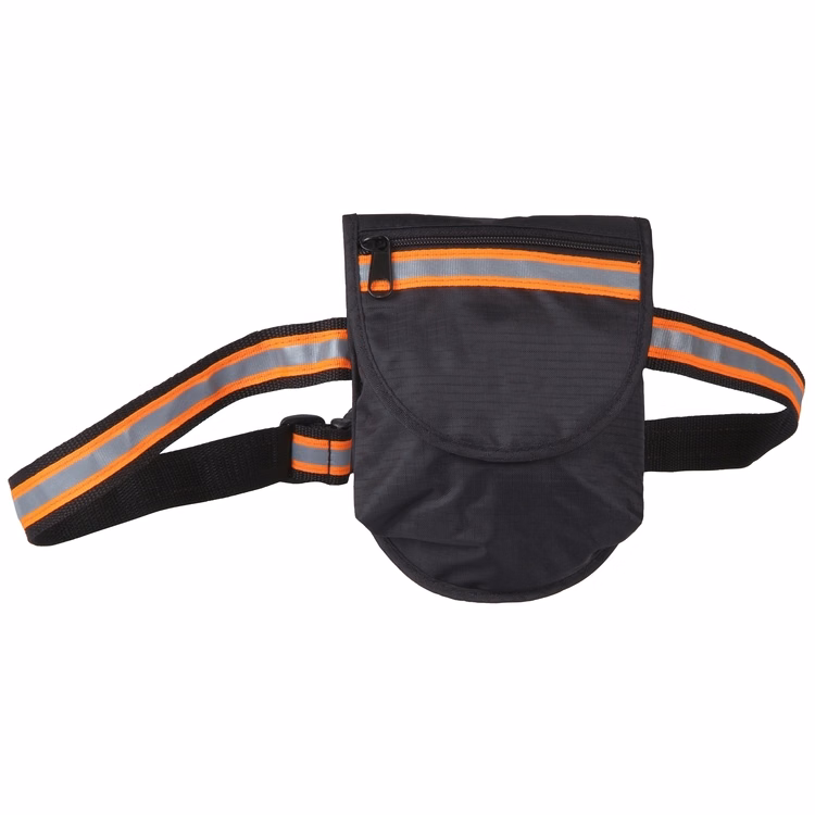 The Jogger's Reflective Fanny Pack