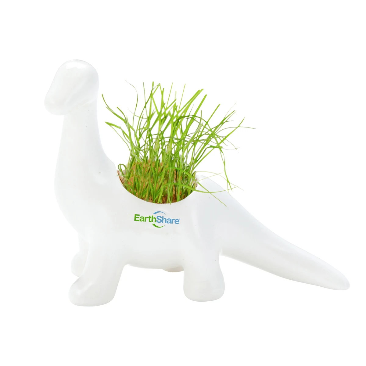 Dinosaur Planter 1