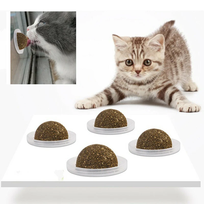 Cat Catnip Ball Snacks Pet Wall Mount Teething Ball Toys 1