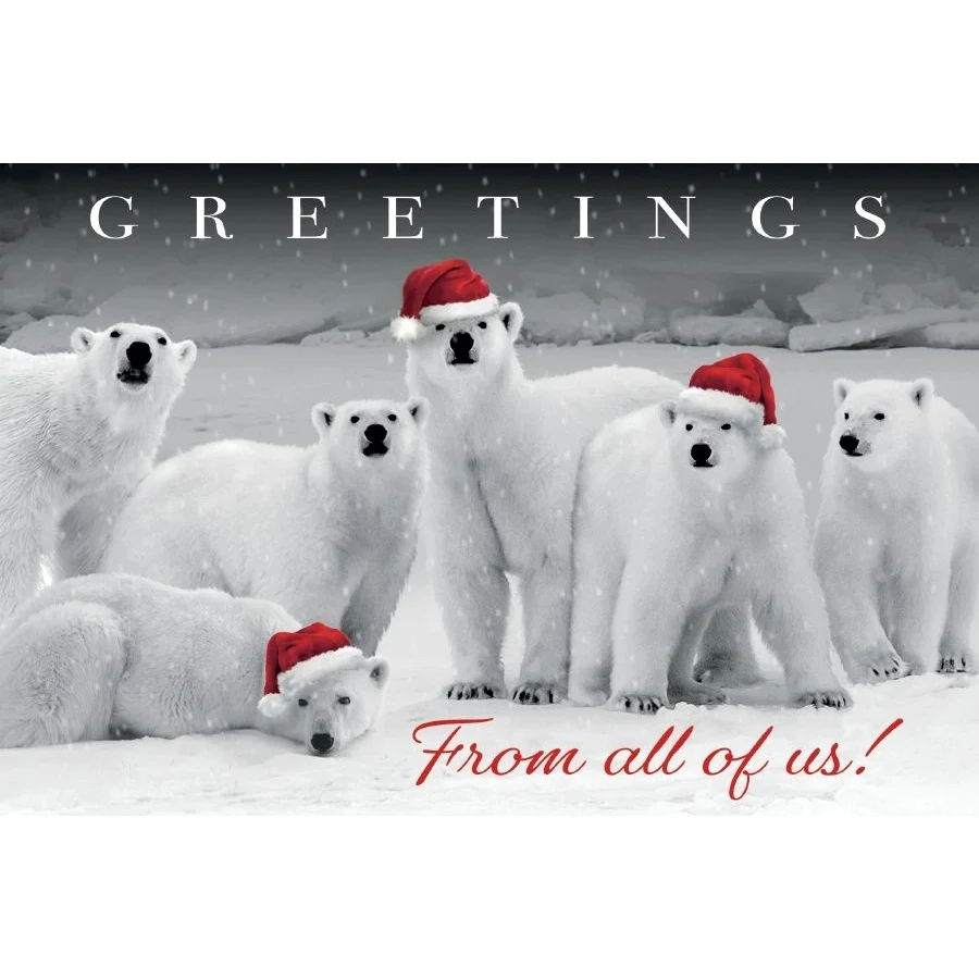 Polar Pack Holiday Postcards 1