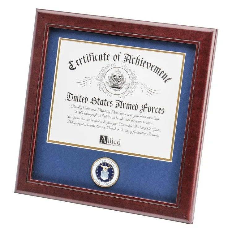 U.S. Air Force Medallion 8-Inch by 10-Inch Certificate Frame 1