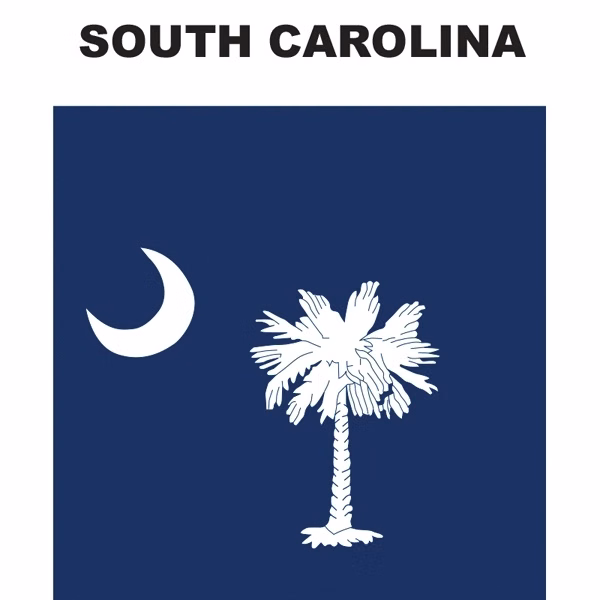 Mini Banner - South Carolina