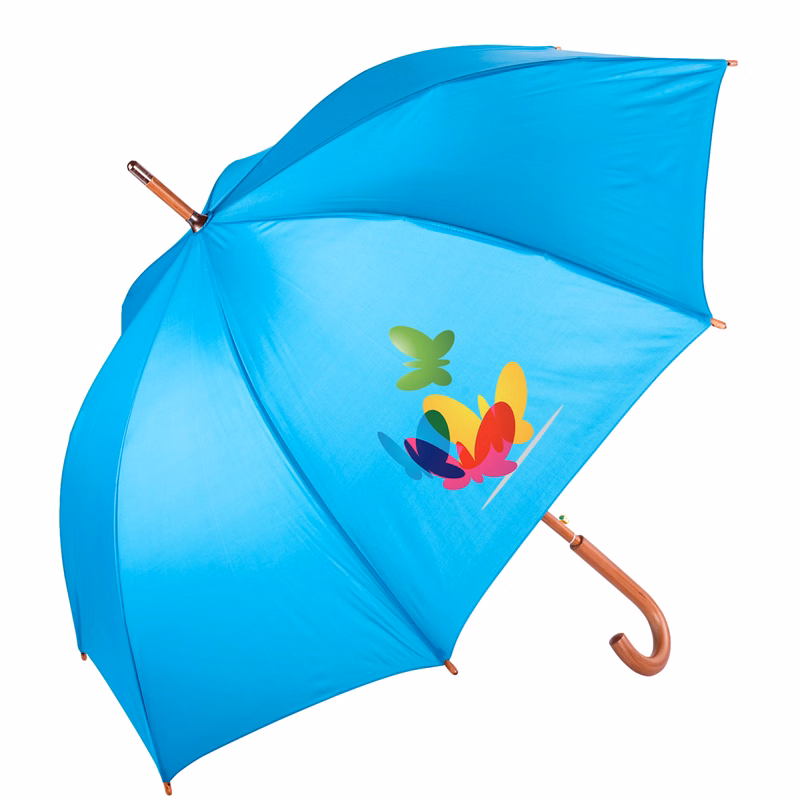 The Hotel Umbrella