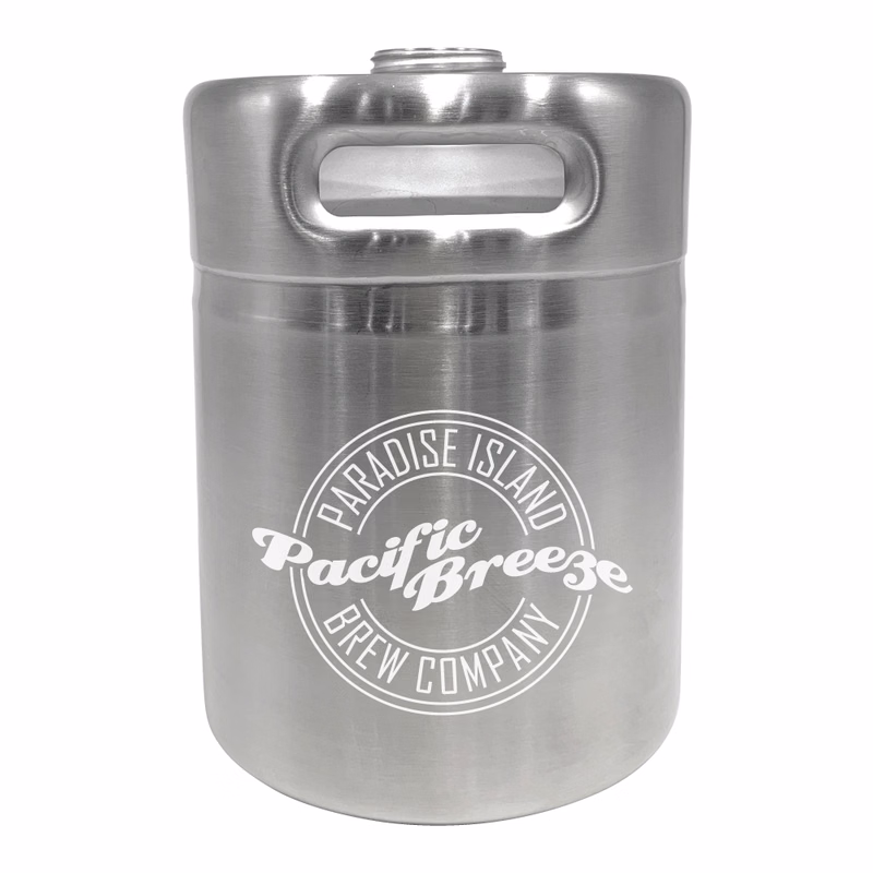 2 Litre Stainless Steel Mini Keg