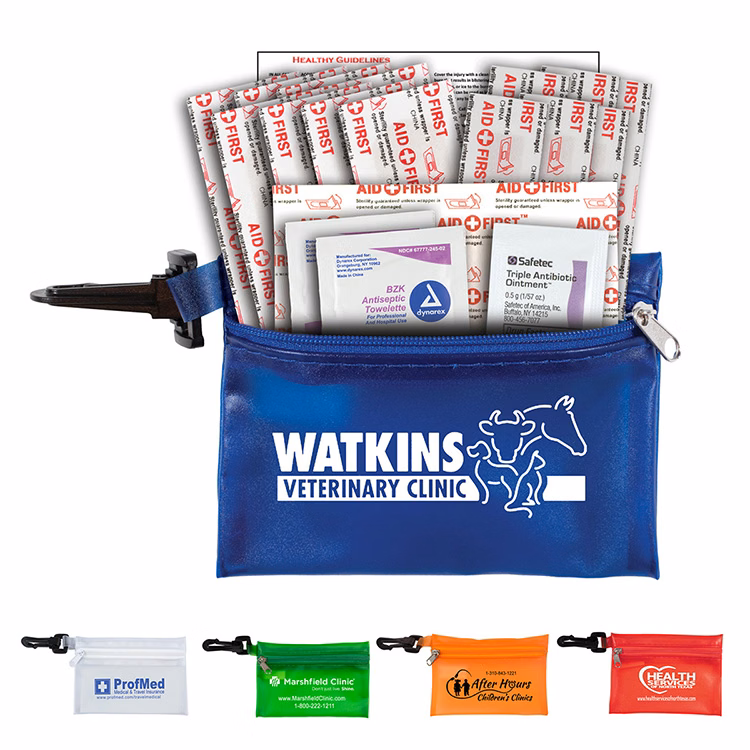 "MEDI" 19 Piece First Aid Kit in Translucent Zipper Kit with Plastic Carabiner Attachment