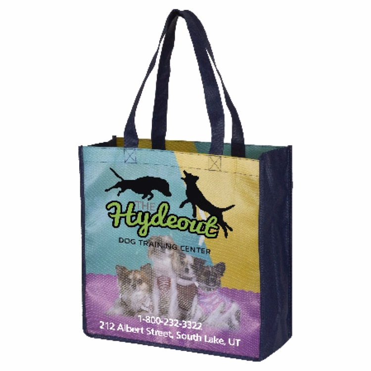 13"W x 13"H x 5"Gusset - "SHORT HILLS" Full Color Import Air Ship Glossy Lamination Grocery Shopping