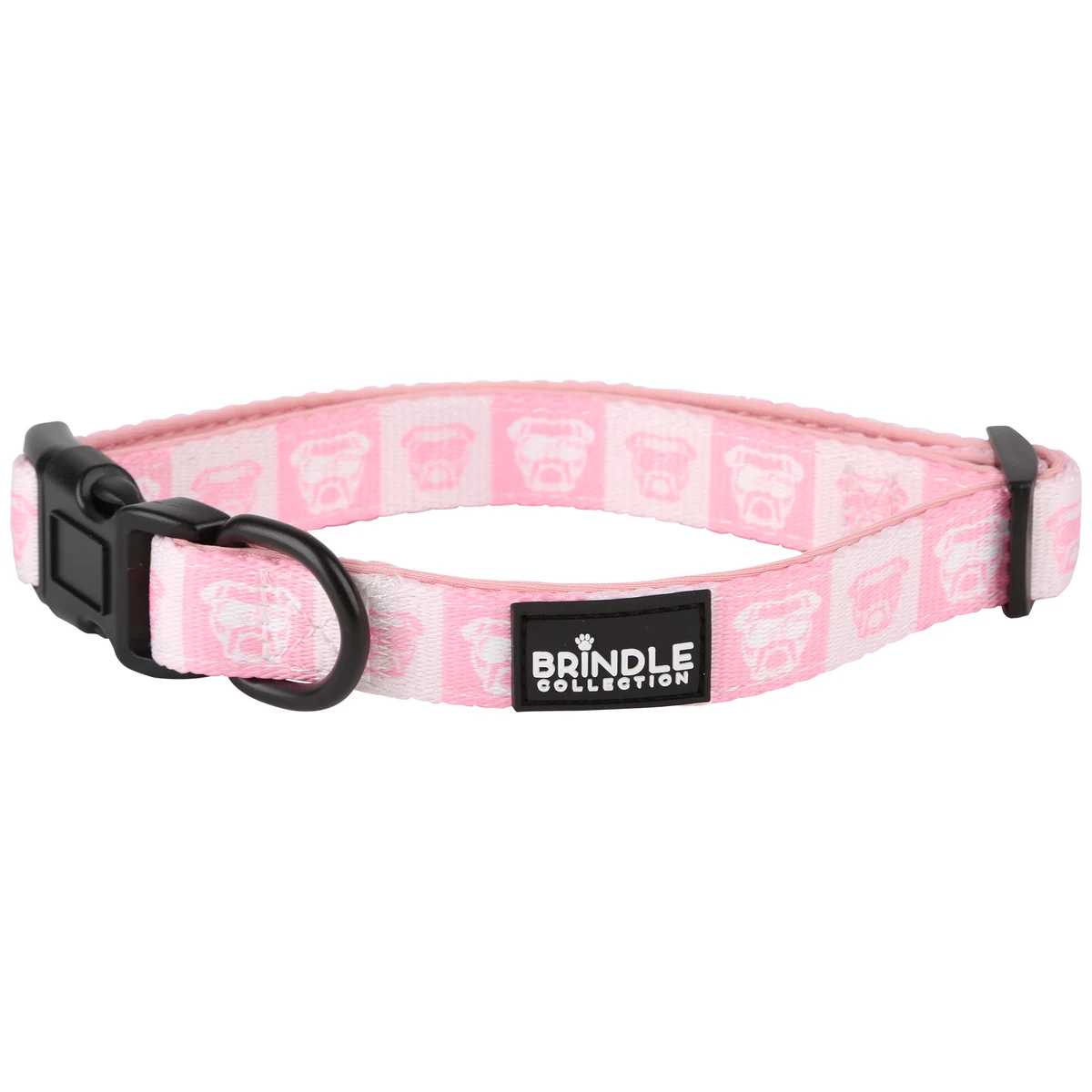 Dog Collar With Neoprene Backing: Extra Small 1