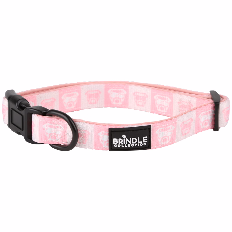 Dog Collar With Neoprene Backing: Extra Small