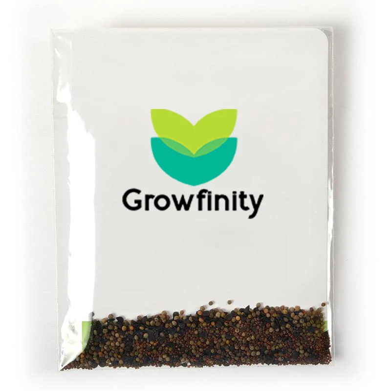 Wildflower Seed Packet 1