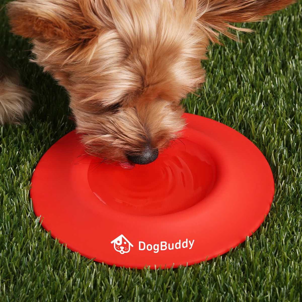 2-in-1 Silicone Pet Flyer and Drinking Bowl 1