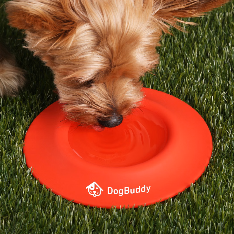 2-in-1 Silicone Pet Flyer and Drinking Bowl