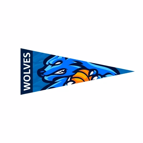 Full Color Felt Pennant - 9 x 24