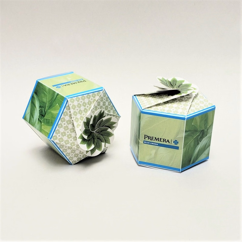 Sweet Basil Certified Organic Seeds - SeedGems Paper Planter - Biodegradable grow kit