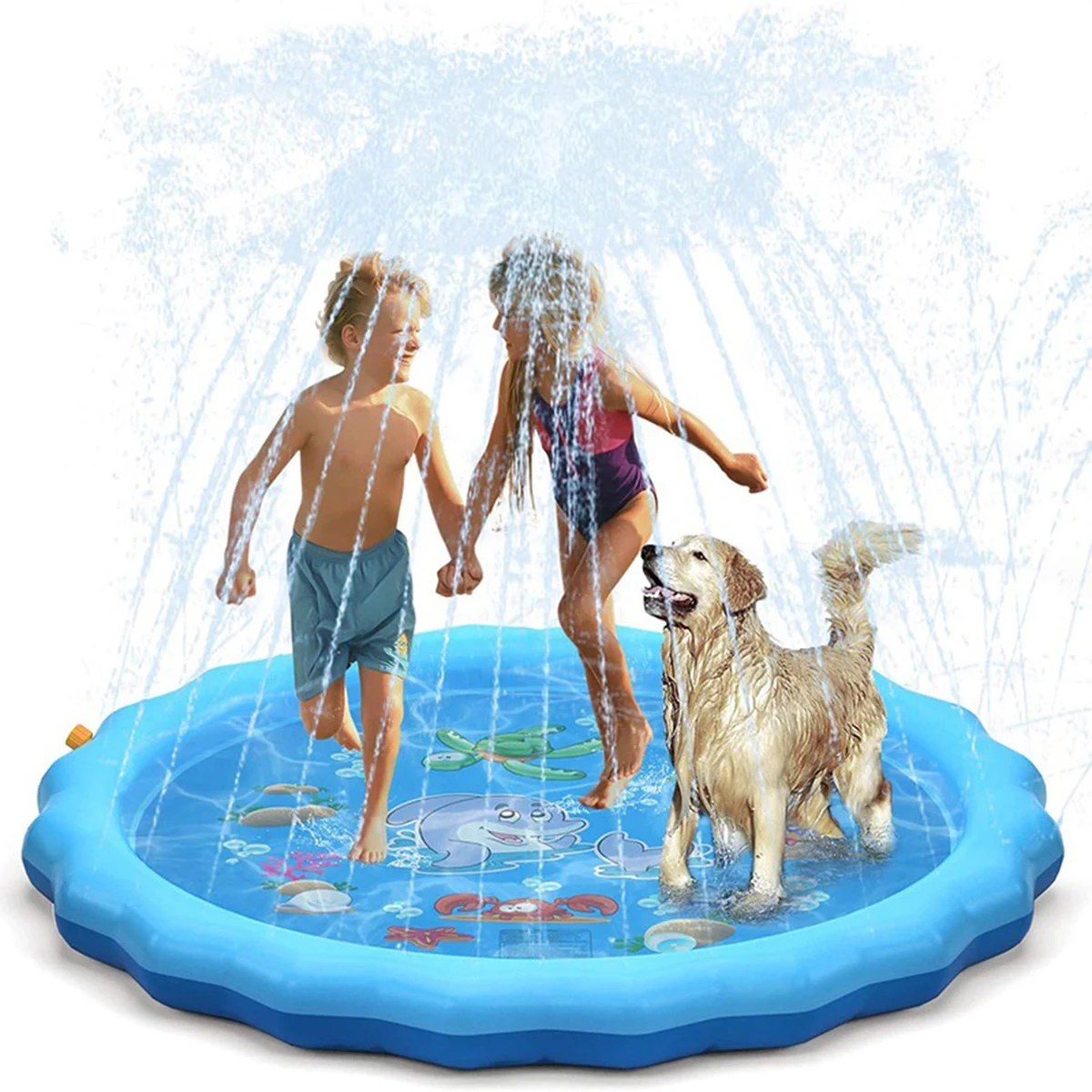 Backyard Water Toy Splash Pad 1