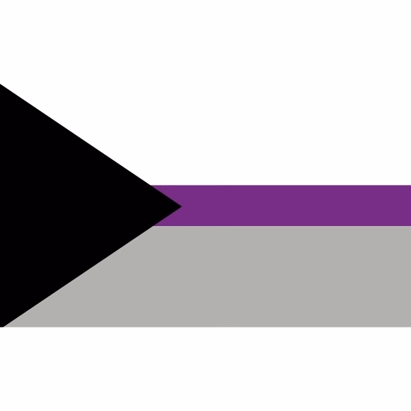 Demisexual Stick Flag