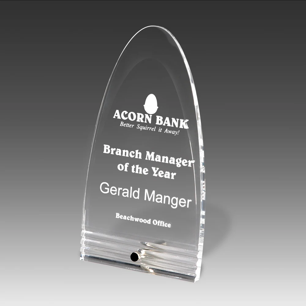 Fasten Stand Up Magellan Award (4"x7"x") 1