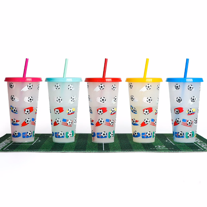 710ML Qatar World Cup Thermochromic Water Bottle Coffee Cup