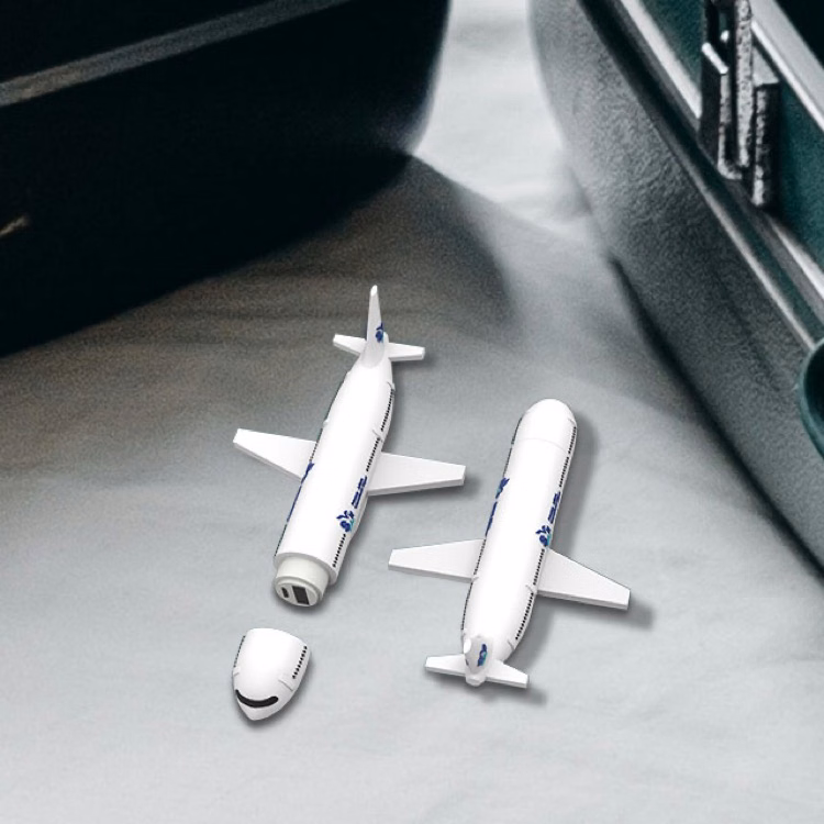 Custom 737 Passenger Plane Charger