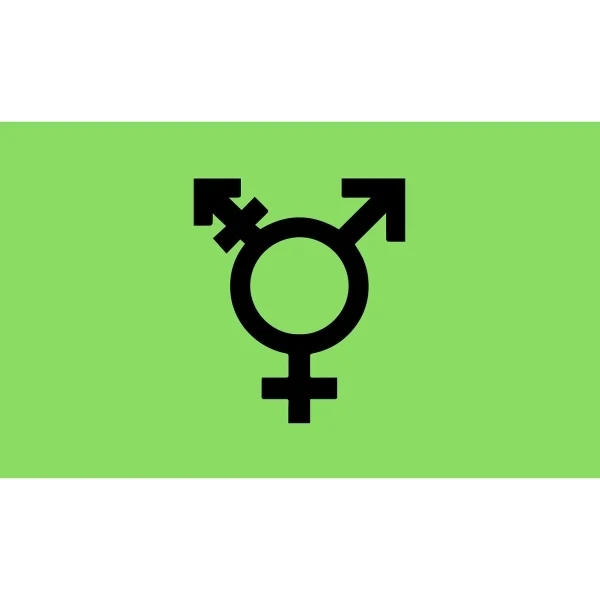 Israel Trans Stick Flag 1