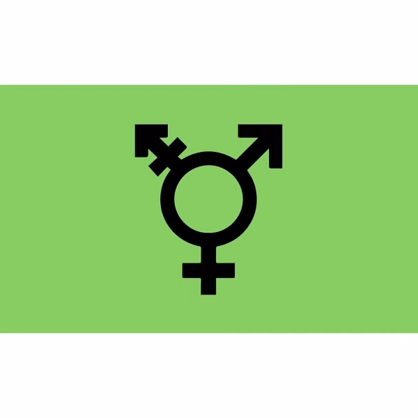 Israel Trans Deluxe Flag
