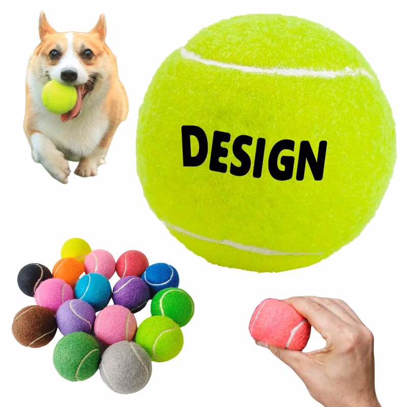 Pet Fetch Toy