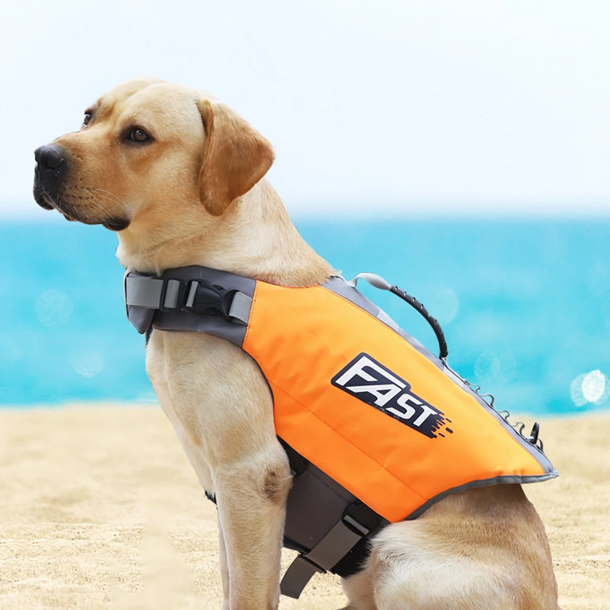 Adjustable Dog Life Jacket 1