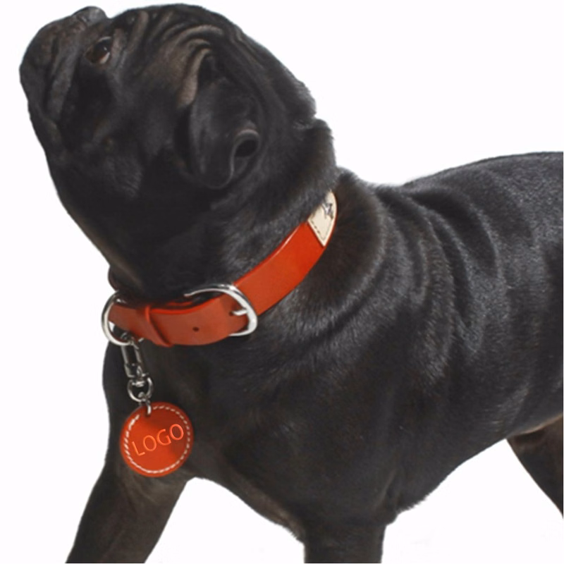 Classic Pet Collar Name Tag