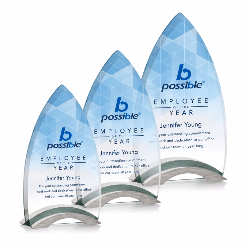 Patterson VividPrint™ Award